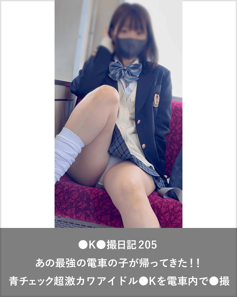 密着調査終了報告書